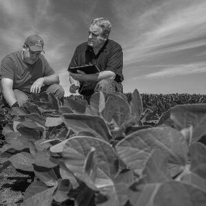Agriculture Series